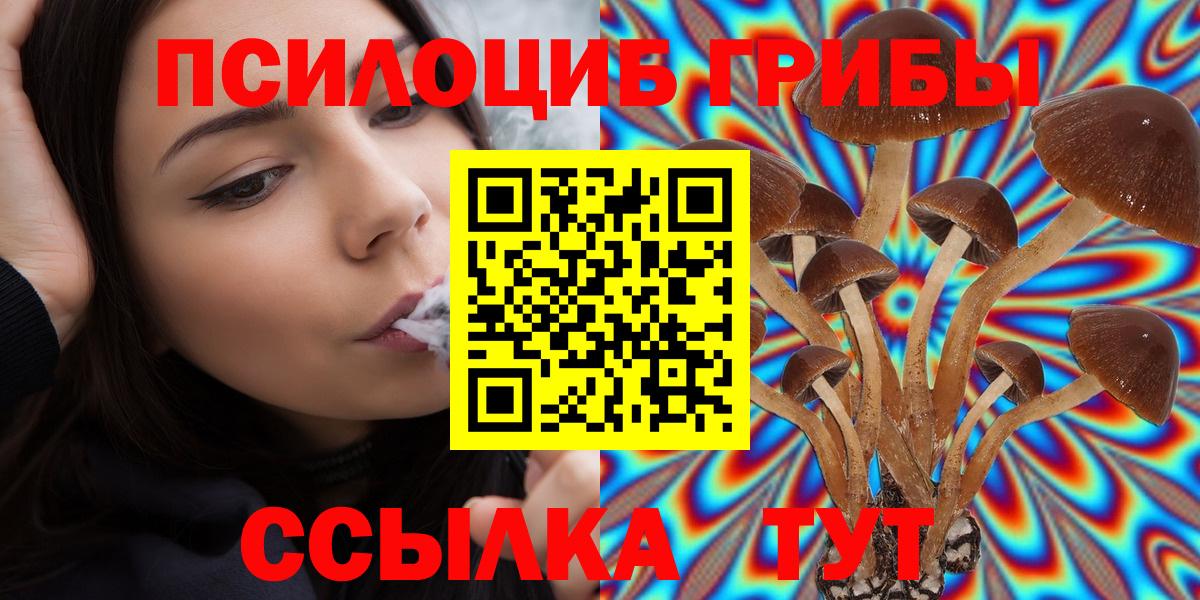 Галлюциногенные грибы мицелий Ставрополь