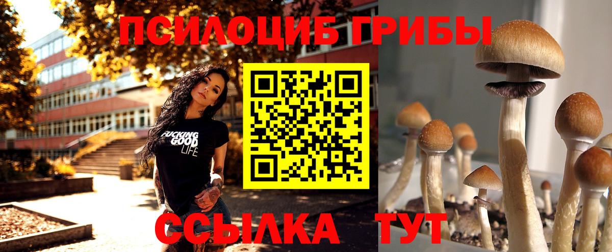 Псилоцибиновые грибы MAGIC MUSHROOMS  Вход с VPN  Ставрополь 