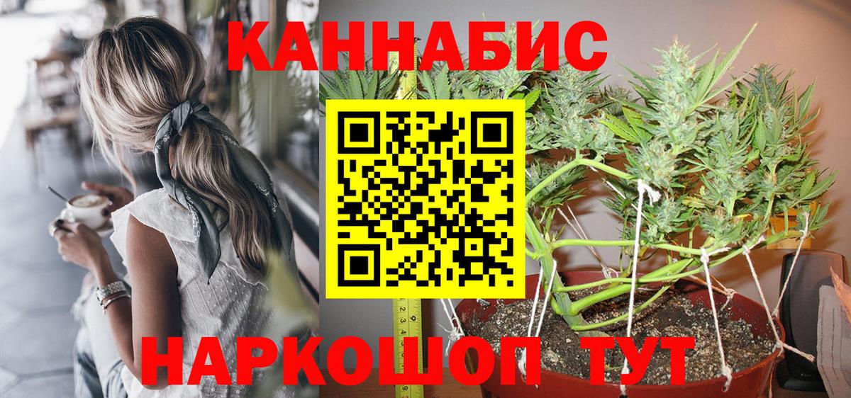 Каннабис AK-47  Канабис THC 21%  Ставрополь  Вход с VPN 